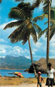 Cartoline: Martinique - Anse Mitan - La Plage - Carte Dentelée - CPSM format CPA - Voir Scans Recto-Verso